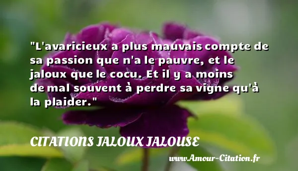 L avaricieux a plus mauvais compte de sa passion que n a le pauvre, et le jaloux que le cocu. Et il y a moins de mal souvent à perdre sa vigne qu à la plaider.  CITATIONS JALOUX JALOUSE