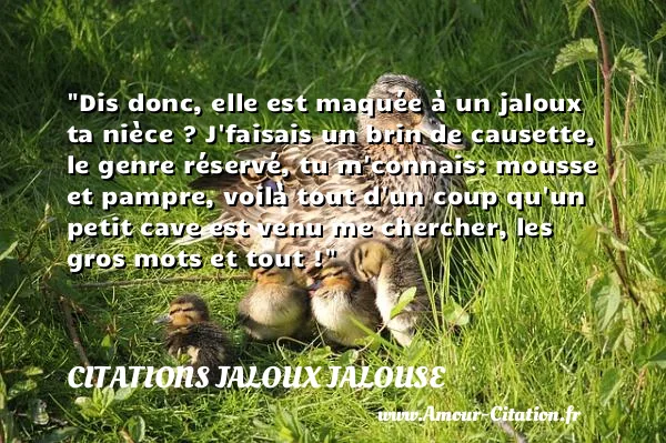 Dis donc, elle est maquée à un jaloux ta nièce ? J faisais un brin de causette, le genre réservé, tu m connais: mousse et pampre, voilà tout d un coup qu un petit cave est venu me chercher, les gros mots et tout !  CITATIONS JALOUX JALOUSE