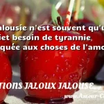  La jalousie n est souvent qu un inquiet besoin de tyrannie appliquée aux choses de l amour.  CITATIONS JALOUX JALOUSE