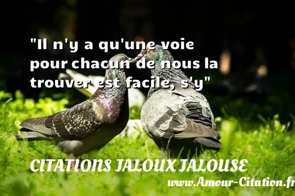 Il n y a qu une voie pour chacun de nous la trouver est facile, s y  CITATIONS JALOUX JALOUSE