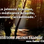  La jalousie tracasse, la médisance brouille, l amour raccommode.  CITATIONS JALOUX JALOUSE