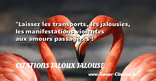 Laissez les transports, les jalousies, les manifestations violentes aux amours passagères ! CITATIONS JALOUX JALOUSE