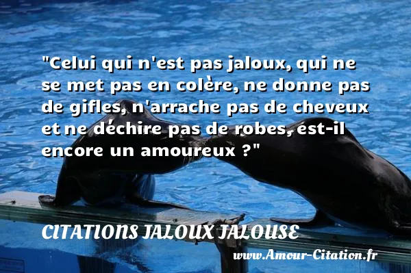 Celui qui n est pas jaloux, qui ne se met pas en colère, ne donne pas de gifles, n arrache pas de cheveux et ne déchire pas de robes, est-il encore un amoureux ?  CITATIONS JALOUX JALOUSE