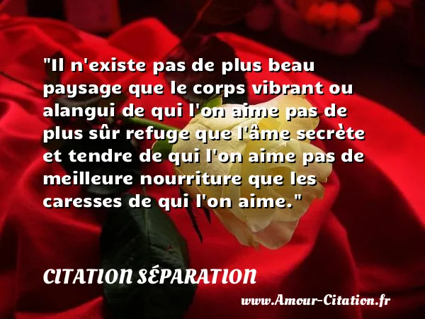 Il n existe pas de plus beau paysage que le corps vibrant ou alangui de qui l on aime pas de plus sûr refuge que l âme secrète et tendre de qui l on aime pas de meilleure nourriture que les caresses de qui l on aime.  CITATION SÉPARATION