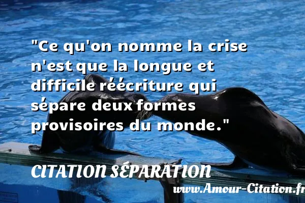 Ce qu on nomme la crise n est que la longue et difficile réécriture qui sépare deux formes provisoires du monde.  CITATION SÉPARATION
