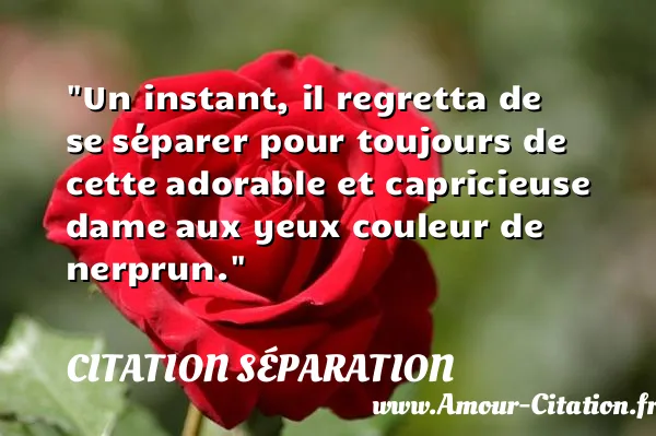 Un instant, il regretta de se séparer pour toujours de cette adorable et capricieuse dame aux yeux couleur de nerprun.  CITATION SÉPARATION
