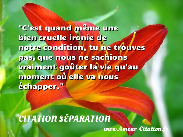 C est quand même une bien cruelle ironie de notre condition, tu ne trouves pas, que nous ne sachions vraiment goûter la vie qu au moment où elle va nous échapper.  CITATION SÉPARATION
