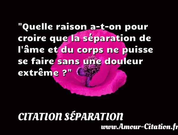 Quelle raison a-t-on pour croire que la séparation de l âme et du corps ne puisse se faire sans une douleur extrême ?  CITATION SÉPARATION