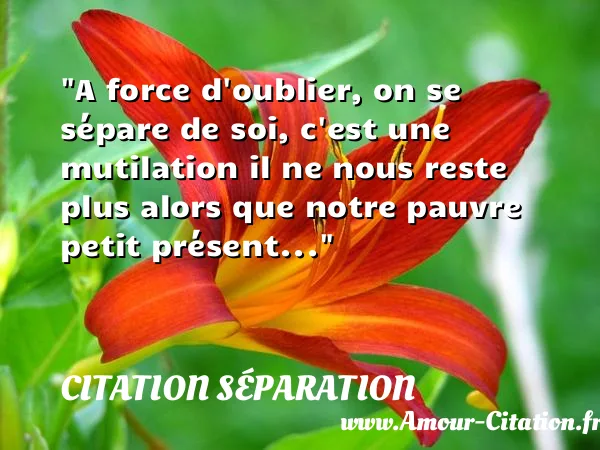 A force d oublier, on se sépare de soi, c est une mutilation il ne nous reste plus alors que notre pauvre petit présent...  CITATION SÉPARATION