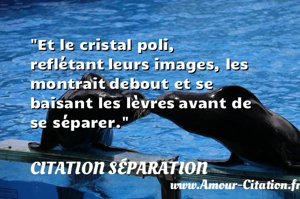 Et le cristal poli, reflétant leurs images, les montrait debout et se baisant les lèvres avant de se séparer. CITATION SÉPARATION