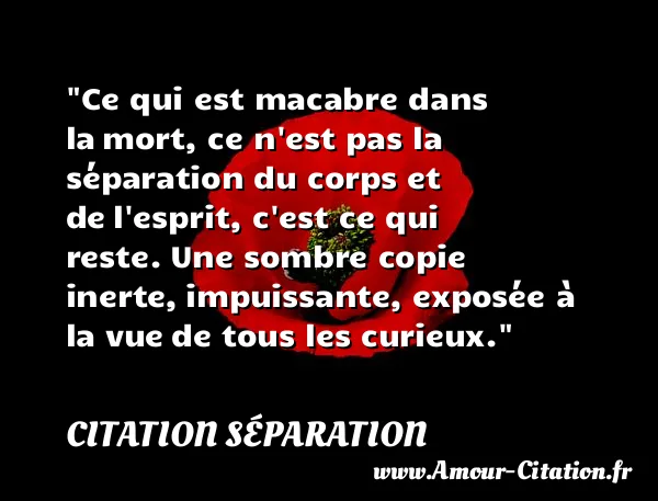 Ce qui est macabre dans la mort, ce n est pas la séparation du corps et de l esprit, c est ce qui reste. Une sombre copie inerte, impuissante, exposée à la vue de tous les curieux.  CITATION SÉPARATION