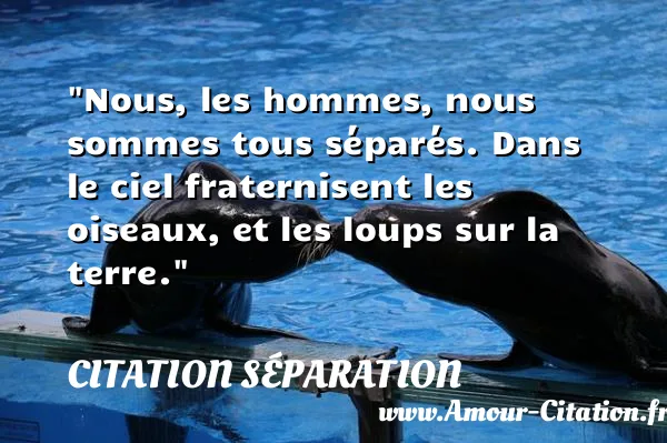 Nous, les hommes, nous sommes tous séparés. Dans le ciel fraternisent les oiseaux, et les loups sur la terre.  CITATION SÉPARATION