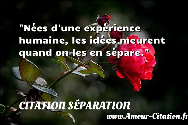 Nées d une expérience humaine, les idées meurent quand on les en sépare.  CITATION SÉPARATION