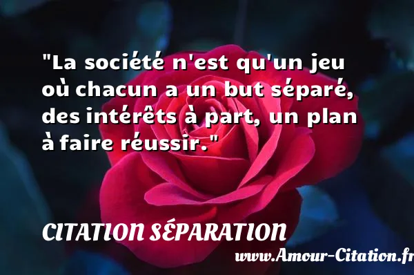 La société n est qu un jeu où chacun a un but séparé, des intérêts à part, un plan à faire réussir. CITATION SÉPARATION
