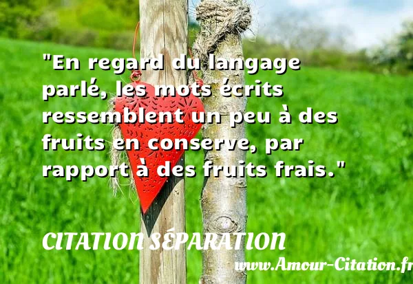 En regard du langage parlé, les mots écrits ressemblent un peu à des fruits en conserve, par rapport à des fruits frais.  CITATION SÉPARATION