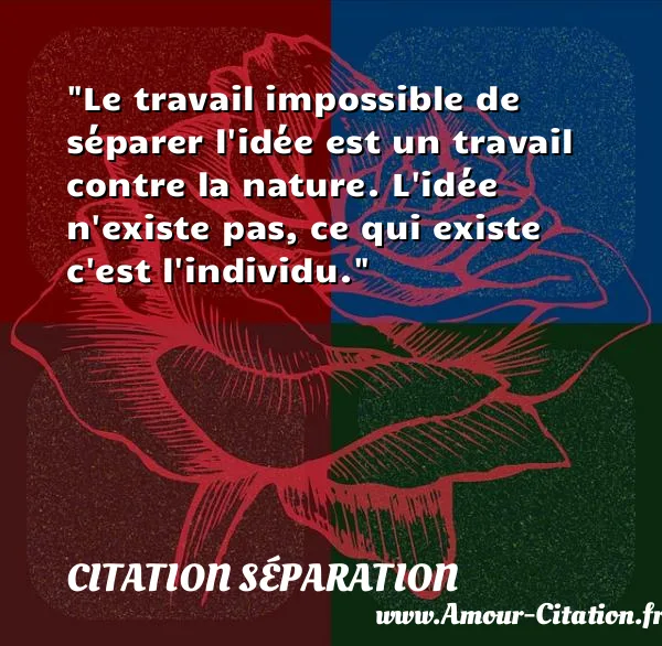 Le travail impossible de séparer l idée est un travail contre la nature. L idée n existe pas, ce qui existe c est l individu.  CITATION SÉPARATION