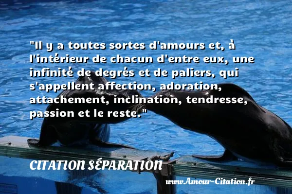 Il y a toutes sortes d amours et, à l intérieur de chacun d entre eux, une infinité de degrés et de paliers, qui s appellent affection, adoration, attachement, inclination, tendresse, passion et le reste.  CITATION SÉPARATION