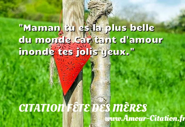 Maman tu es la plus belle du monde Car tant d amour inonde tes jolis yeux. CITATION FÊTE DES MÈRES
