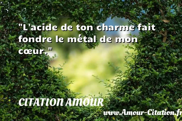 L acide de ton charme fait fondre le métal de mon cœur.  CITATION AMOUR