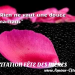  Rien ne vaut une douce maman.  CITATION FÊTE DES MÈRES