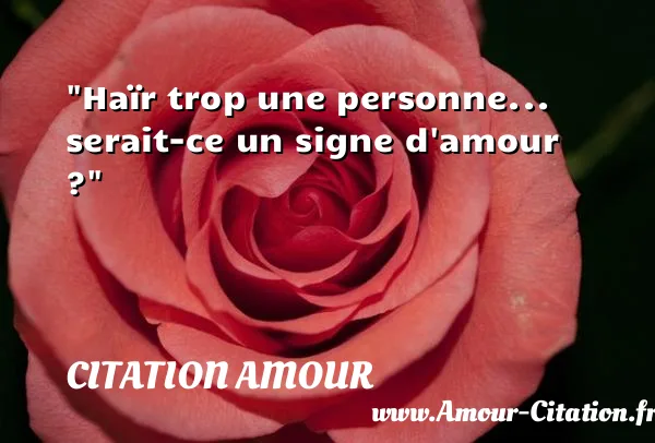 Haïr trop une personne... serait-ce un signe d amour ?  CITATION AMOUR