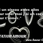  Si un oiseau a des ailes pour voler moi j ai un coeur pour t aimer.  CITATION AMOUR