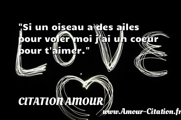 Si un oiseau a des ailes pour voler moi j ai un coeur pour t aimer.  CITATION AMOUR
