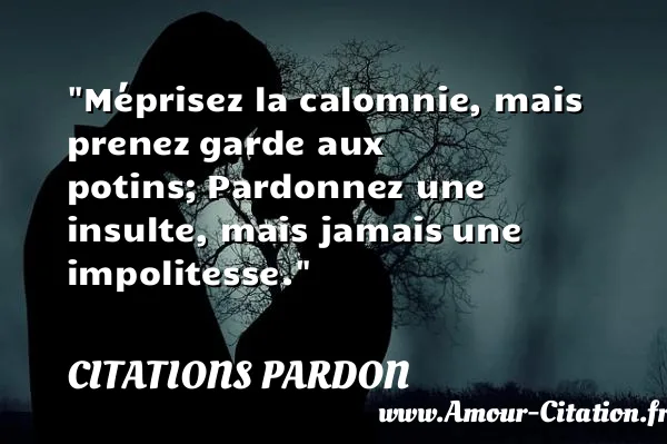 Méprisez la calomnie, mais prenez garde aux potins; Pardonnez une insulte, mais jamais une impolitesse. CITATIONS PARDON
