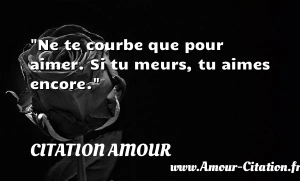 Ne te courbe que pour aimer. Si tu meurs, tu aimes encore. CITATION AMOUR