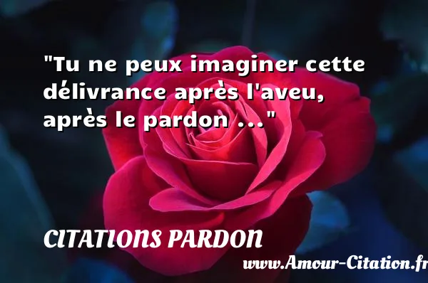 Tu ne peux imaginer cette délivrance après l aveu, après le pardon ... CITATIONS PARDON