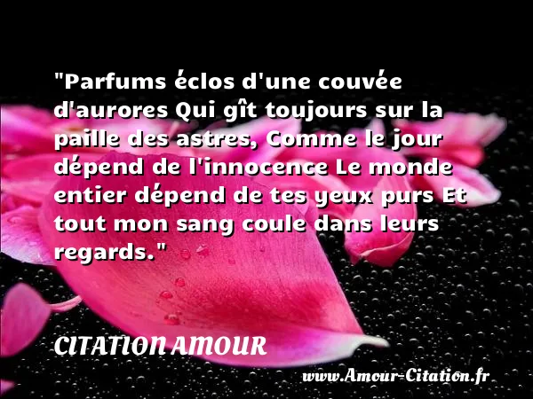Parfums éclos d une couvée d aurores Qui gît toujours sur la paille des astres, Comme le jour dépend de l innocence Le monde entier dépend de tes yeux purs Et tout mon sang coule dans leurs regards.  CITATION AMOUR