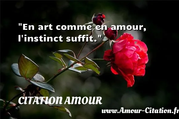 En art comme en amour, l instinct suffit.  CITATION AMOUR