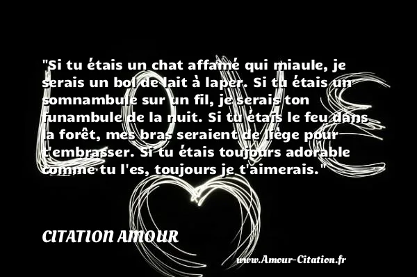 Si tu étais un chat affamé qui miaule, je serais un bol de lait à laper. Si tu étais un somnambule sur un fil, je serais ton funambule de la nuit. Si tu étais le feu dans la forêt, mes bras seraient de liège pour t embrasser. Si tu étais toujours adorable comme tu l es, toujours je t aimerais.  CITATION AMOUR