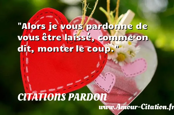 Alors je vous pardonne de vous être laissé, comme on dit, monter le coup. CITATIONS PARDON