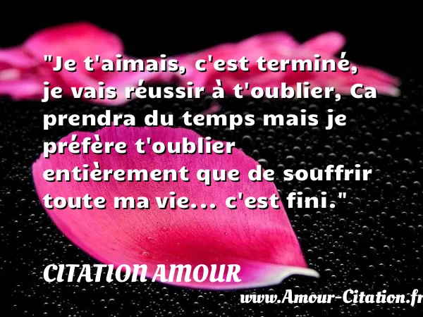 Je t aimais, c est terminé, je vais réussir à t oublier, Ca prendra du temps mais je préfère t oublier entièrement que de souffrir toute ma vie... c est fini.  CITATION AMOUR