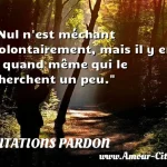  Nul n est méchant volontairement, mais il y en a quand même qui le cherchent un peu.  CITATIONS PARDON