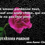 L amour pardonne tout, sauf une seule chose, qui est de ne pas être aimé.  CITATIONS PARDON