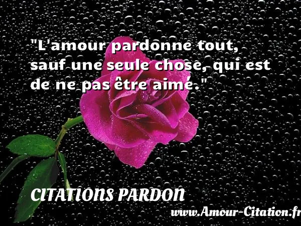 L amour pardonne tout, sauf une seule chose, qui est de ne pas être aimé. CITATIONS PARDON