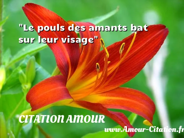 Le pouls des amants bat sur leur visage  CITATION AMOUR