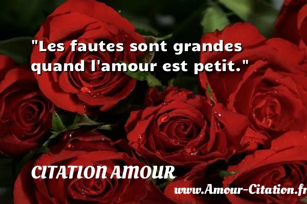Les fautes sont grandes quand l amour est petit.  CITATION AMOUR