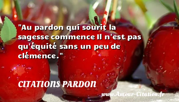 Au pardon qui sourit la sagesse commence Il n est pas qu équité sans un peu de clémence.  CITATIONS PARDON