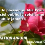  Si le poisson oublie l eau et le ciel oublie le soleil, moi je t oublie jamais.  CITATION AMOUR