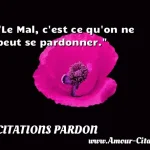  Le Mal, c est ce qu on ne peut se pardonner.  CITATIONS PARDON