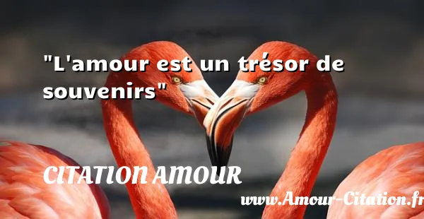 L amour est un trésor de souvenirs CITATION AMOUR