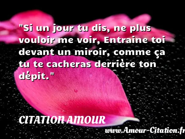 Si un jour tu dis, ne plus vouloir me voir, Entraine toi devant un miroir, comme ça tu te cacheras derrière ton dépit.  CITATION AMOUR