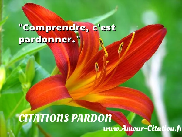 Comprendre, c est pardonner.  CITATIONS PARDON