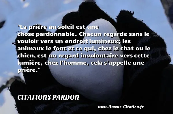 La prière au soleil est une chose pardonnable. Chacun regarde sans le vouloir vers un endroit lumineux; les animaux le font et ce qui, chez le chat ou le chien, est un regard involontaire vers cette lumière, chez l homme, cela s appelle une prière. CITATIONS PARDON