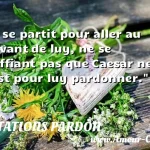  Il se partit pour aller au devant de luy, ne se deffiant pas que Caesar ne fust pour luy pardonner.  CITATIONS PARDON