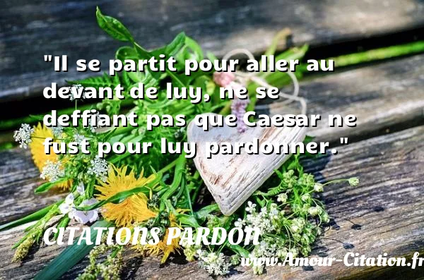 Il se partit pour aller au devant de luy, ne se deffiant pas que Caesar ne fust pour luy pardonner.  CITATIONS PARDON
