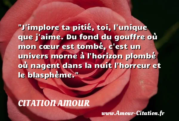 J implore ta pitié, toi, l unique que j aime. Du fond du gouffre où mon cœur est tombé, c est un univers morne à l horizon plombé où nagent dans la nuit l horreur et le blasphème.  CITATION AMOUR